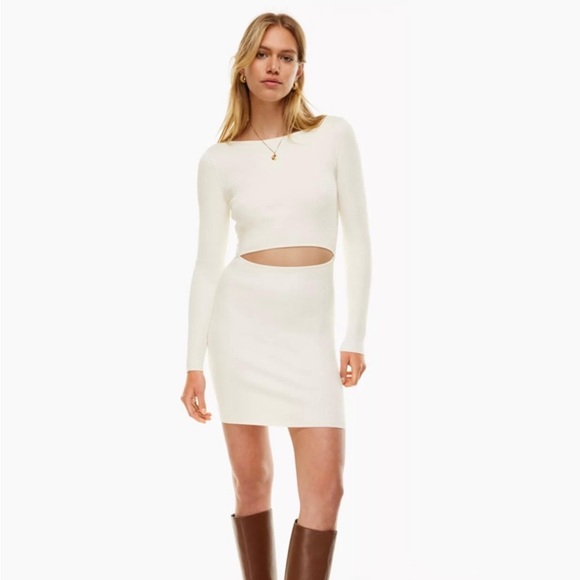 Aritzia Dresses & Skirts - Aritzia Wilfred Longsleeve Mini Dress